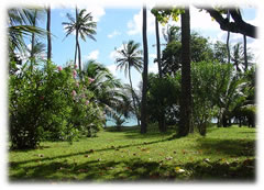 gardens extend to Friendship Bay beach