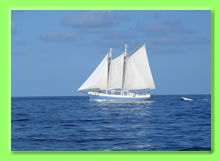 schooner Friendship Rose day charters