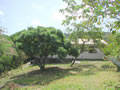 view of back of house from street